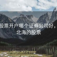 北海股票开户哪个证券公司好，广西北海的股票