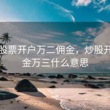 哪里股票开户万二佣金，炒股开户佣金万三什么意思