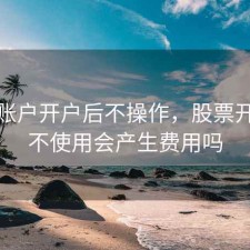 股票账户开户后不操作，股票开户后不使用会产生费用吗