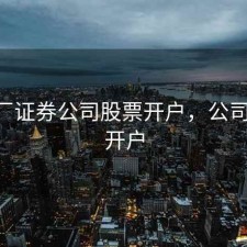 汽车厂证券公司股票开户，公司 证券开户