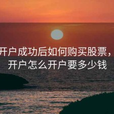 股票开户成功后如何购买股票，股票开户怎么开户要多少钱