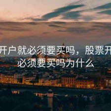 股票开户就必须要买吗，股票开户就必须要买吗为什么