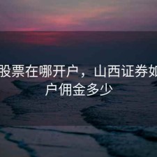 山西股票在哪开户，山西证券如何开户佣金多少