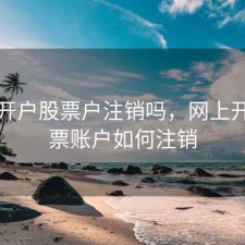 网上开户股票户注销吗，网上开的股票账户如何注销