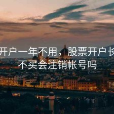 股票开户一年不用，股票开户长时间不买会注销帐号吗