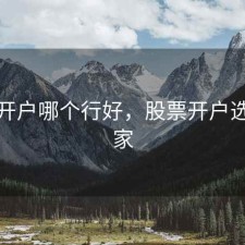 股票开户哪个行好，股票开户选择哪家