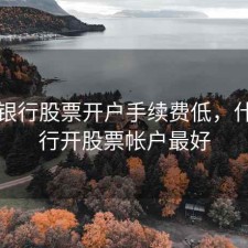 哪个银行股票开户手续费低，什么银行开股票帐户最好