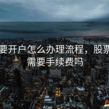 股票要开户怎么办理流程，股票开户需要手续费吗