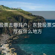 东营股票去哪开户，东营股票交易大厅在什么地方