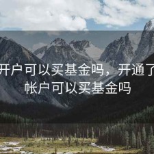 股票开户可以买基金吗，开通了股票帐户可以买基金吗