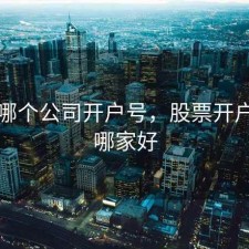 股票哪个公司开户号，股票开户公司哪家好