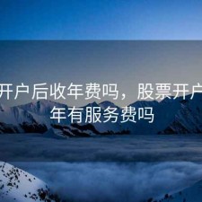 股票开户后收年费吗，股票开户后每年有服务费吗
