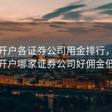 股票开户各证券公司用金排行，股票开户哪家证券公司好佣金低