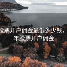 全国股票开户佣金最低多少钱，2021年股票开户佣金