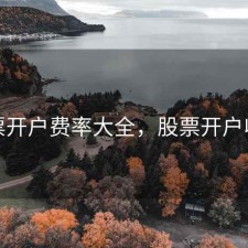 股票开户费率大全，股票开户收费