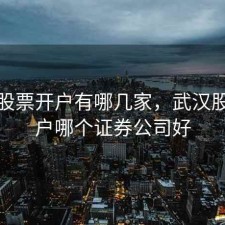 武汉股票开户有哪几家，武汉股票开户哪个证券公司好