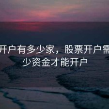 股票开户有多少家，股票开户需要多少资金才能开户