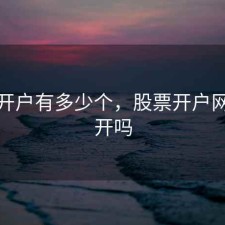 股票开户有多少个，股票开户网上能开吗