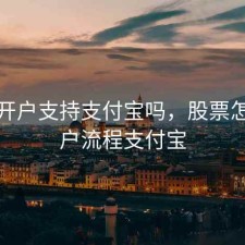 股票开户支持支付宝吗，股票怎么开户流程支付宝