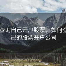 怎么查询自己开户股票，如何查询自己的股票开户公司