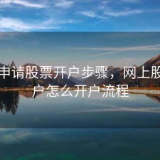 网上申请股票开户步骤，网上股票开户怎么开户流程
