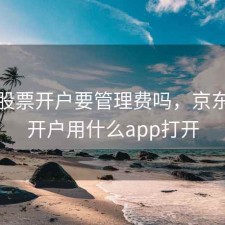 京东股票开户要管理费吗，京东证券开户用什么app打开