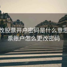用修改股票开户密码是什么意思，股票账户怎么更改密码