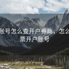 股票账号怎么查开户券商，怎么看股票开户账号