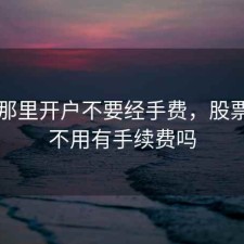 股票那里开户不要经手费，股票开户不用有手续费吗