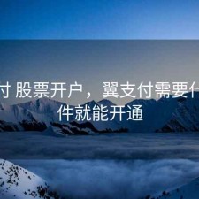 翼支付 股票开户，翼支付需要什么条件就能开通
