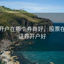 股票开户在哪个券商好，股票在哪个证券开户好