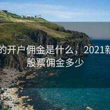 股票的开户佣金是什么，2021新开户股票佣金多少