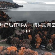 股票开户后在哪买，购买股票去哪开户