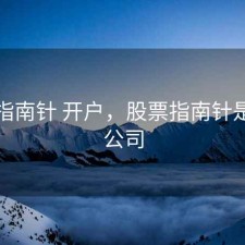 股票指南针 开户，股票指南针是什么公司
