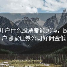 股票开户什么股票都能买吗，股票开户哪家证券公司好佣金低