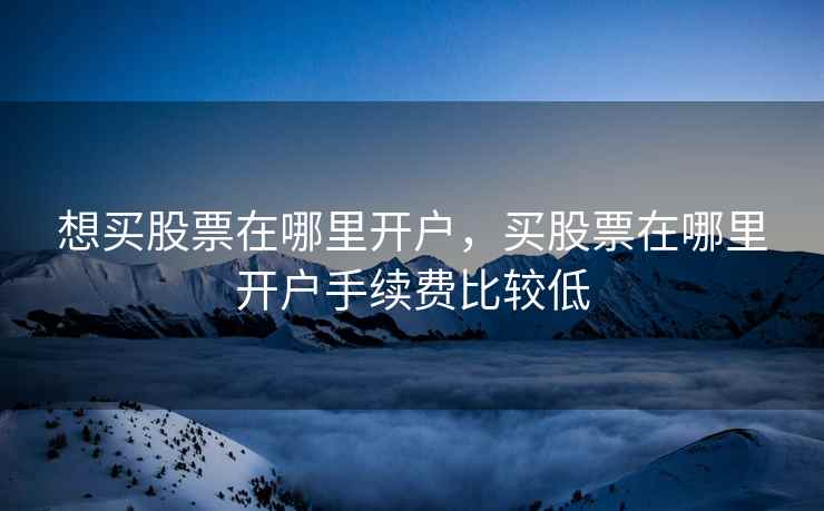 想买股票在哪里开户，买股票在哪里开户手续费比较低  第1张