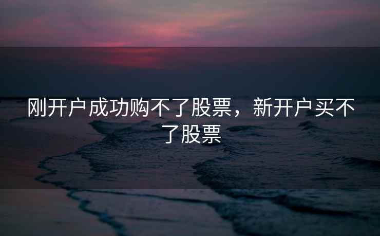 刚开户成功购不了股票，新开户买不了股票  第2张