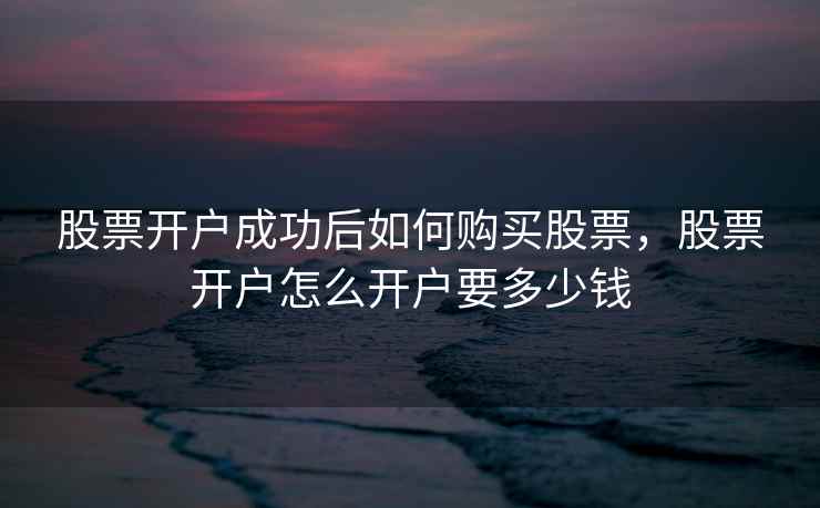 股票开户成功后如何购买股票,股票开户怎么开户要多少钱 第2张 股票开户成功后如何购买股票,股票开户怎么开户要多少钱 第2张