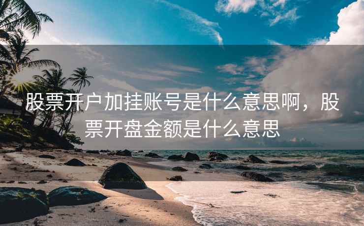 股票开户加挂账号是什么意思啊，股票开盘金额是什么意思  第1张