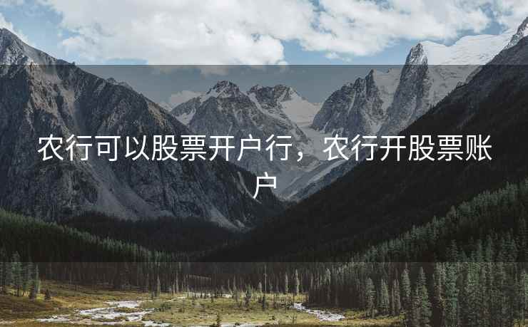 农行可以股票开户行，农行开股票账户  第1张