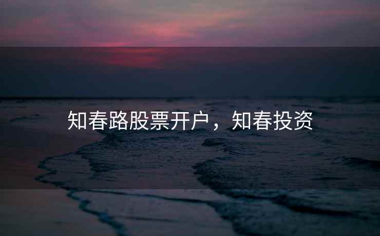 知春路股票开户，知春投资  第1张