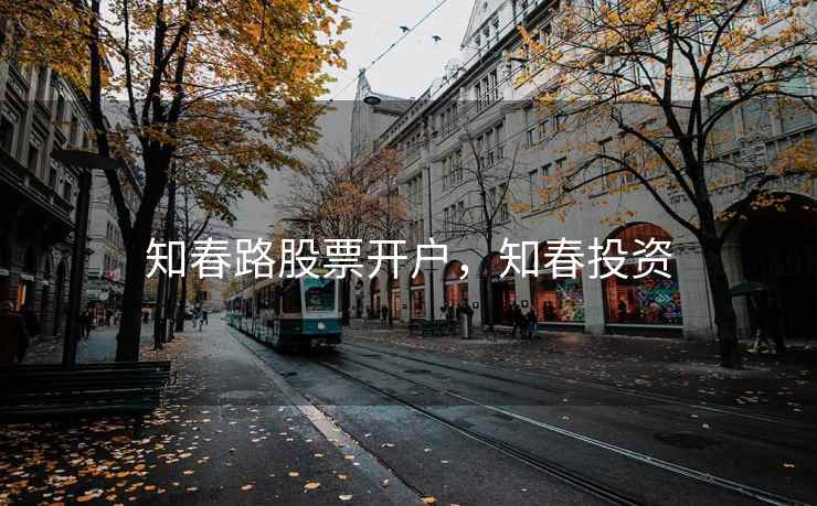 知春路股票开户，知春投资  第2张