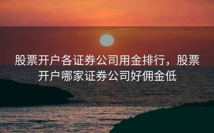 股票开户各证券公司用金排行,股票开户哪家证券公司好佣金低 第2张 股票开户各证券公司用金排行,股票开户哪家证券公司好佣金低 第2张