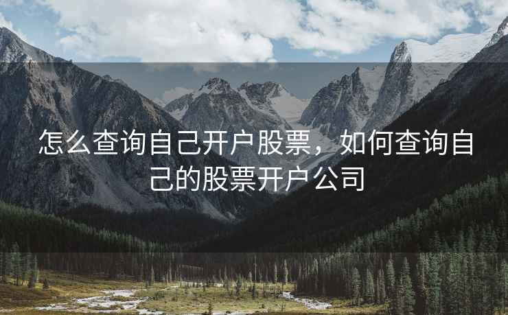 怎么查询自己开户股票，如何查询自己的股票开户公司  第1张
