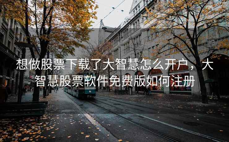 想做股票下载了大智慧怎么开户，大智慧股票软件免费版如何注册  第2张