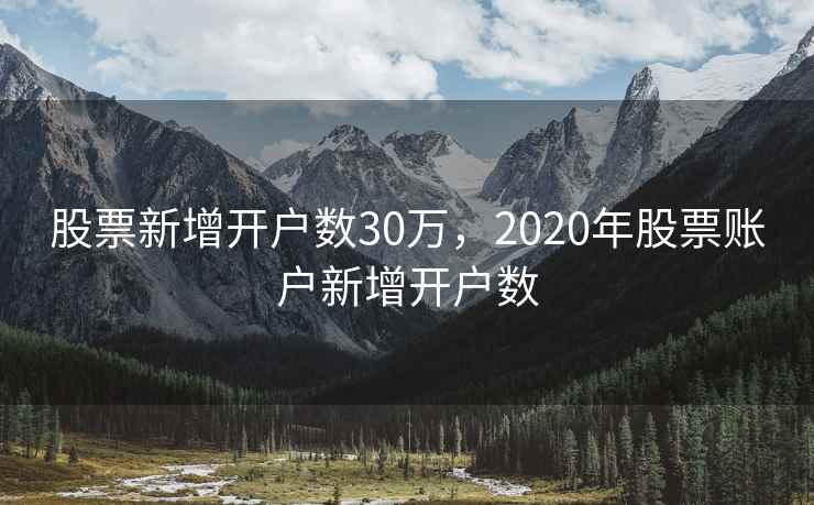 股票新增开户数30万，2020年股票账户新增开户数  第1张