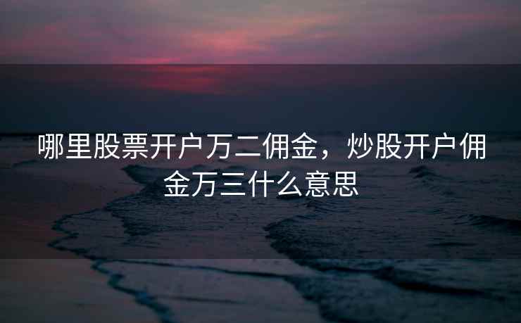 哪里股票开户万二佣金,炒股开户佣金万三什么意思 第2张 哪里股票开户万二佣金,炒股开户佣金万三什么意思 第2张