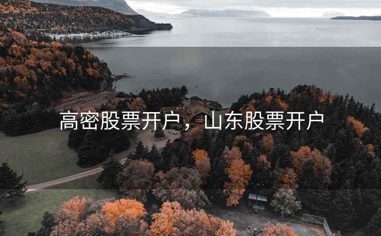 高密股票开户，山东股票开户  第1张