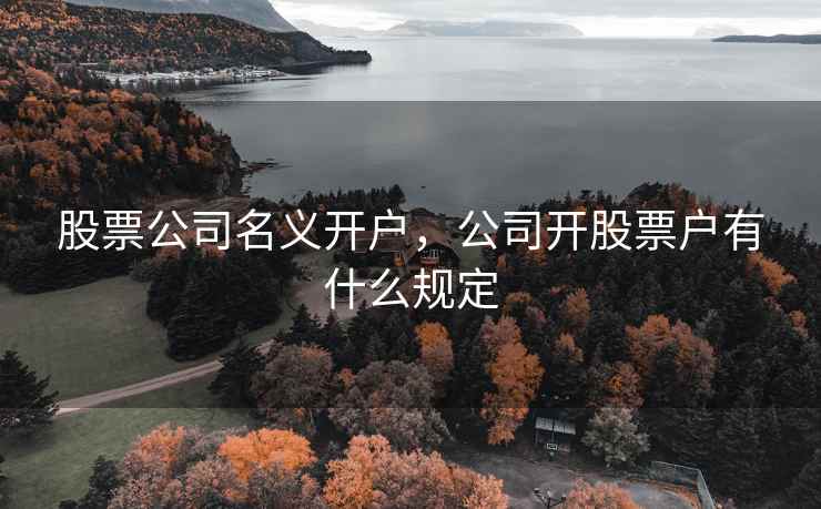 股票公司名义开户，公司开股票户有什么规定  第2张