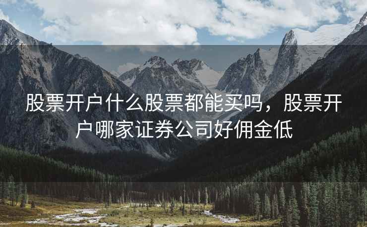 股票开户什么股票都能买吗，股票开户哪家证券公司好佣金低  第1张